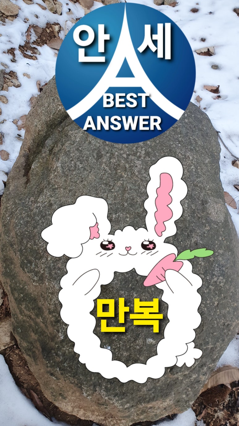 안세회계세무컨설팅 이미지