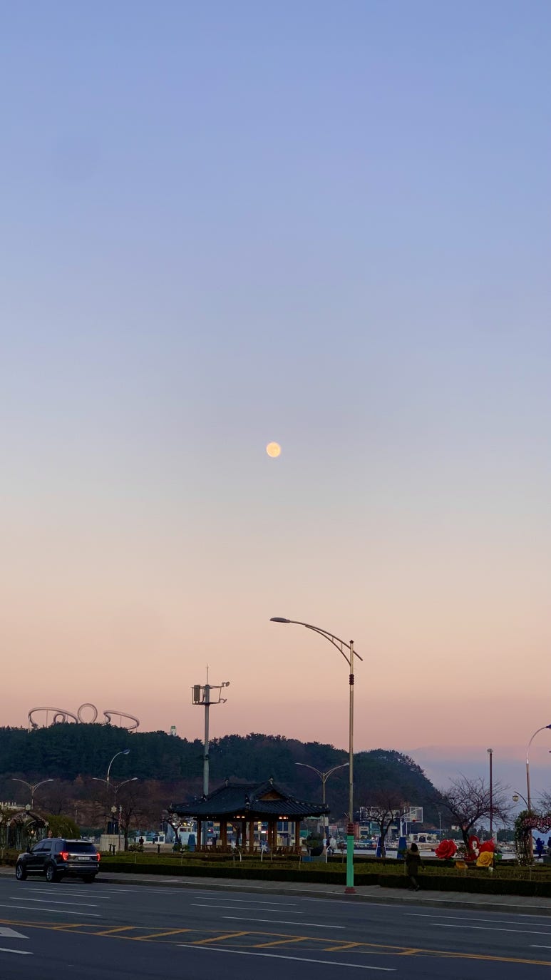 청년피자포항 이미지