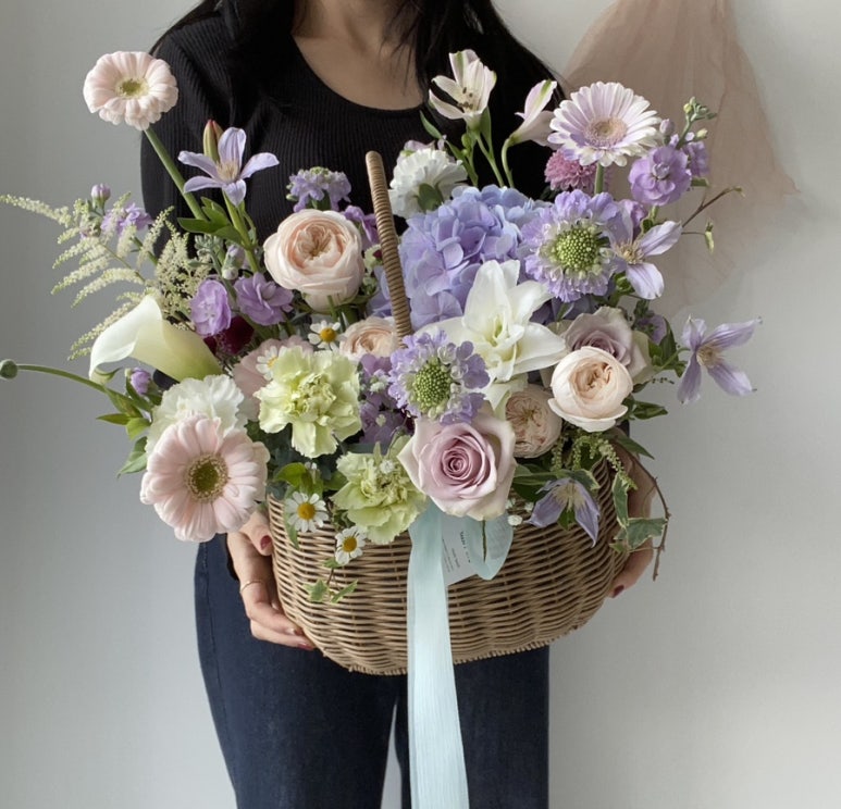 오니플레르 이미지