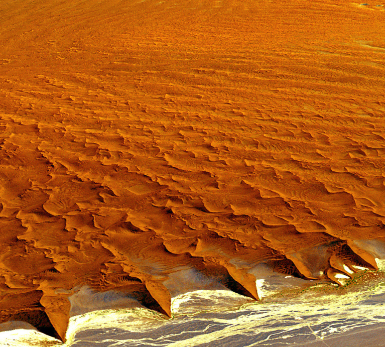 나미브(NAMIB) 이미지