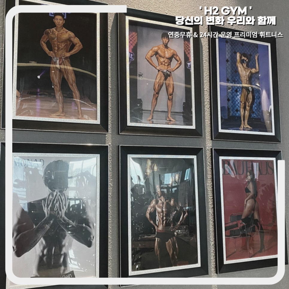 에이치짐투 이미지