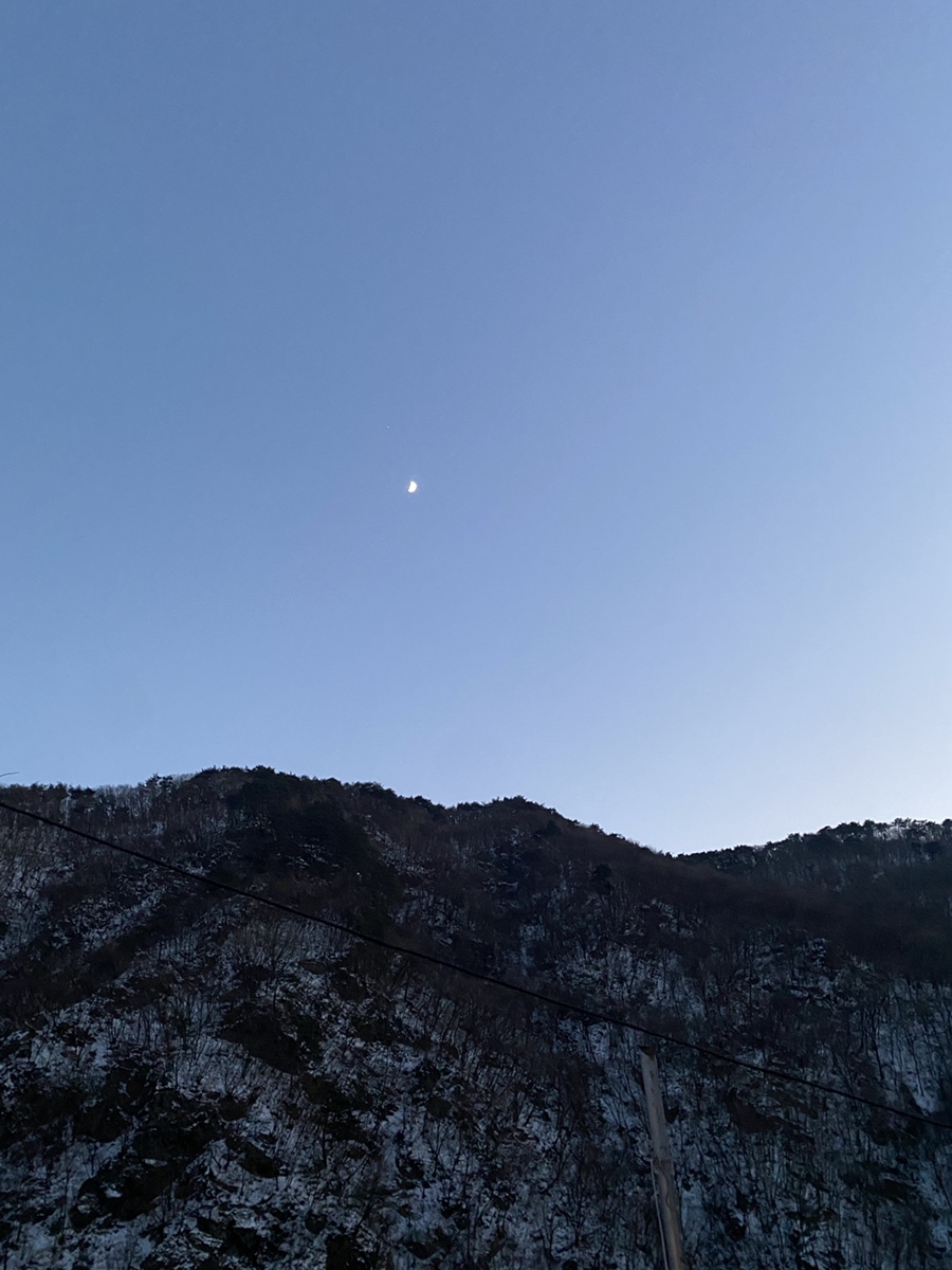 평창수입육 이미지