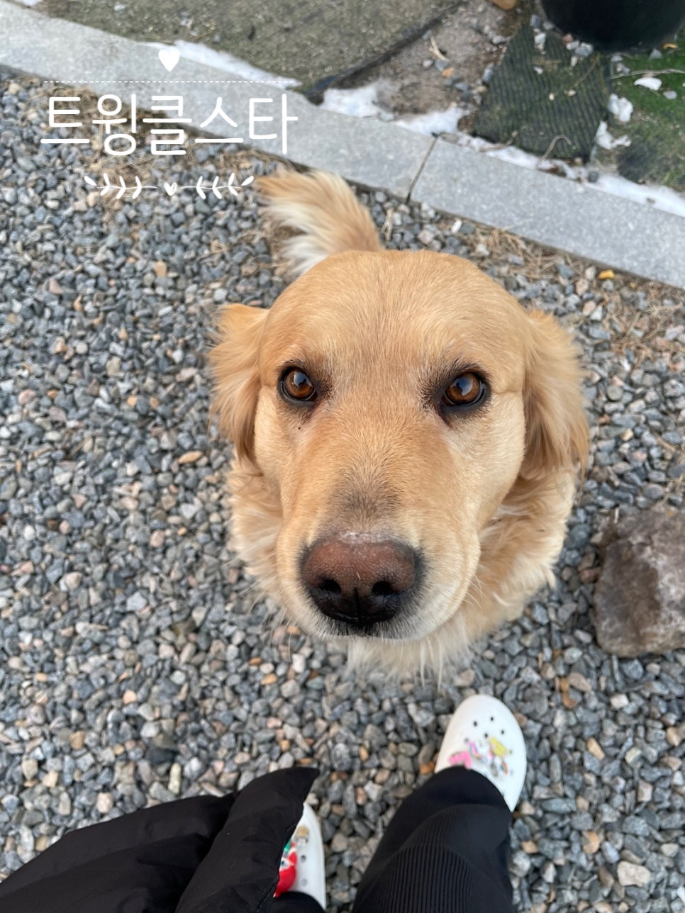 달빛추억팬션 이미지