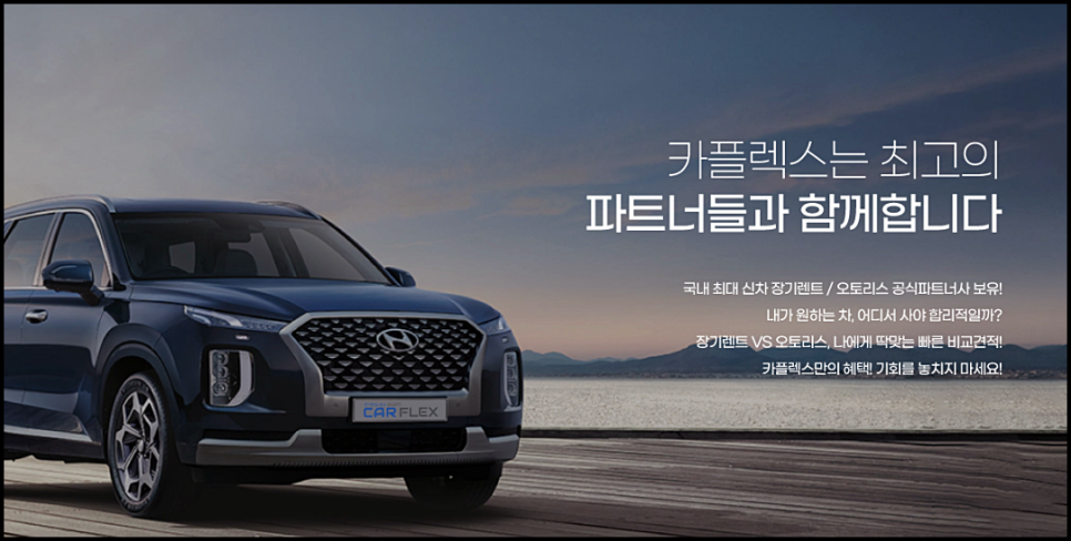 카플렉스 이미지