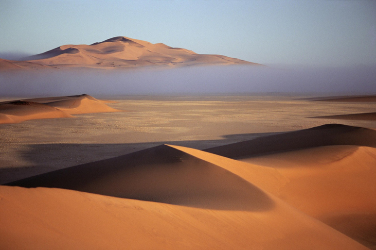 나미브(NAMIB) 이미지