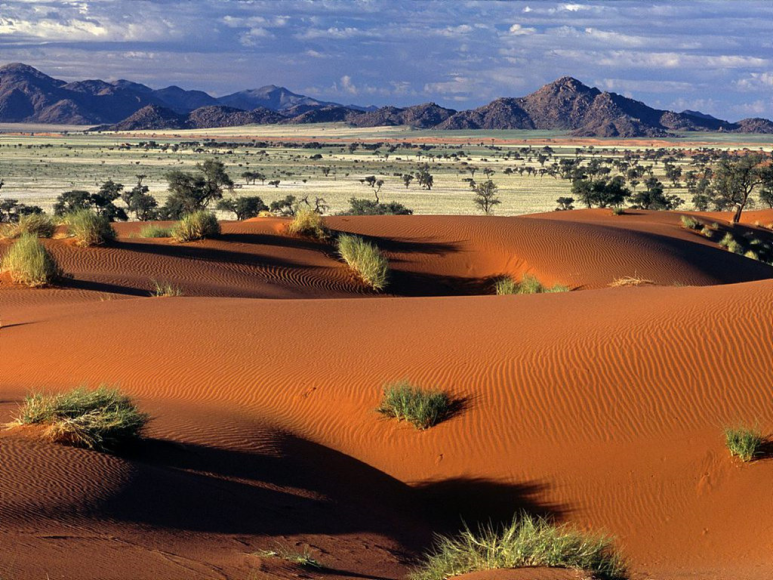 나미브(NAMIB) 이미지