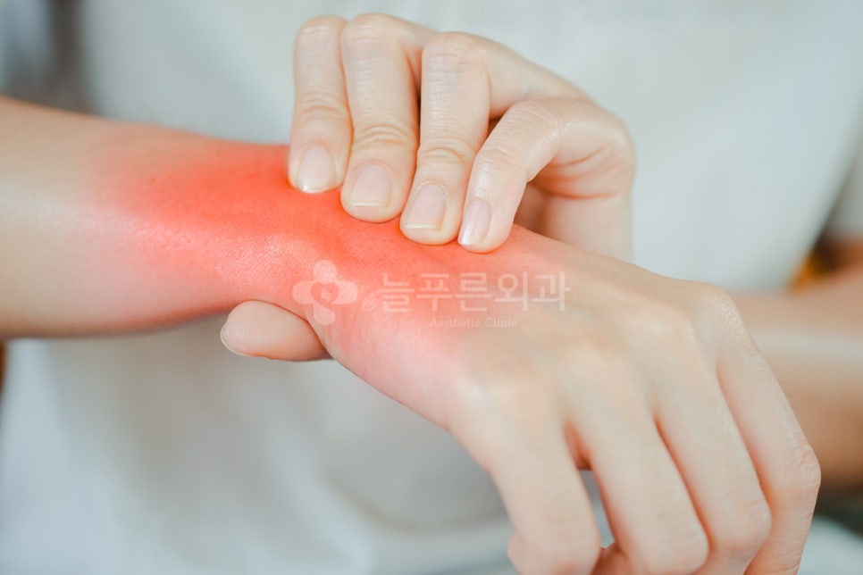 늘푸른외과 이미지