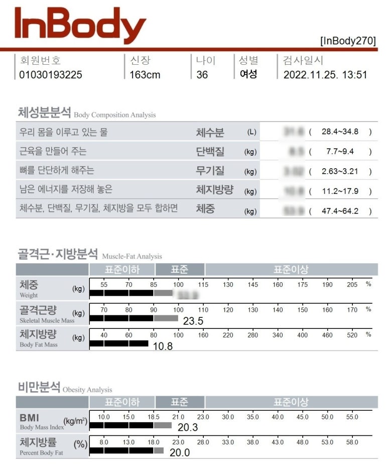 피티나인 이미지