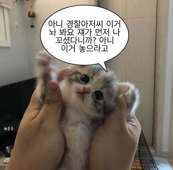 해피벌스앤 이미지