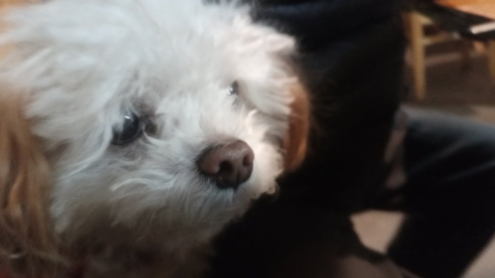 삼천동노래방 이미지