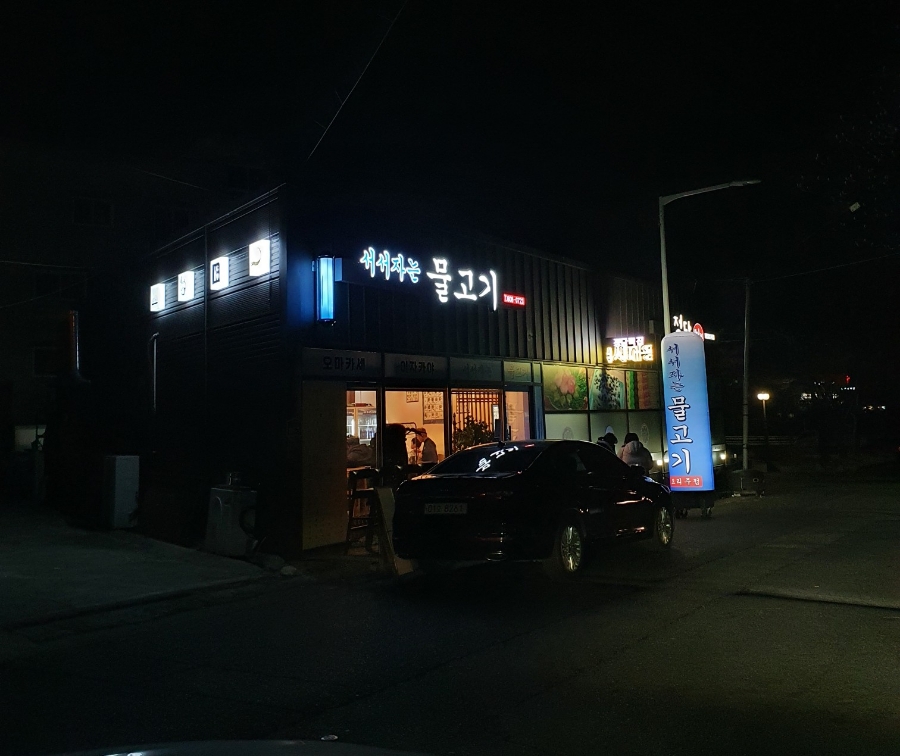 서서자는물고기 이미지