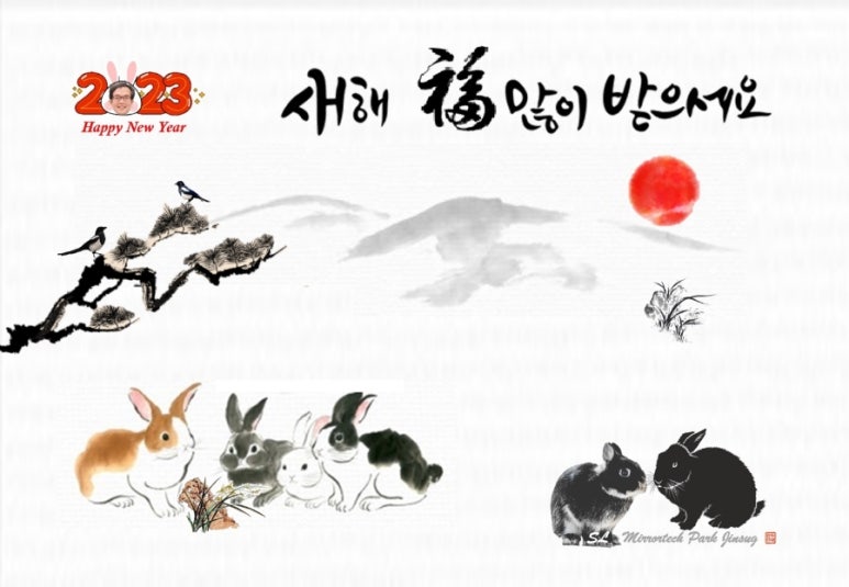 콩자 이미지