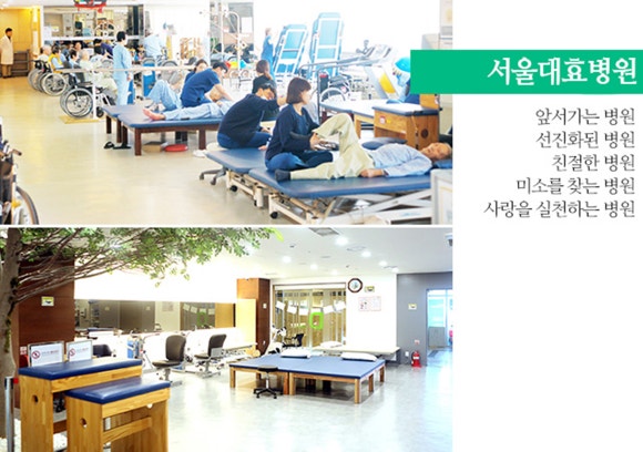 서울대효병원 이미지