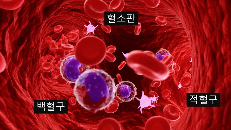 본힐링하우스 이미지