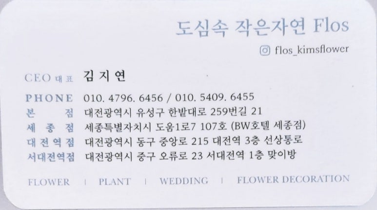 도심속에작은야생화 이미지