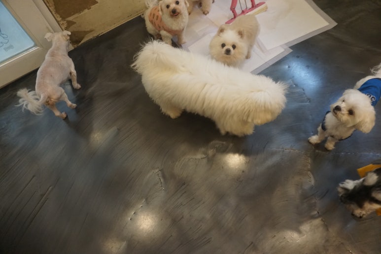 아이뚜리 이미지