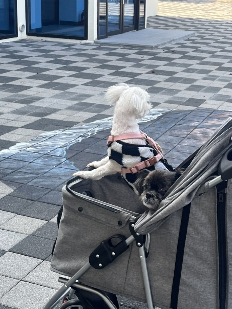 돌담 캠핑&가든 이미지