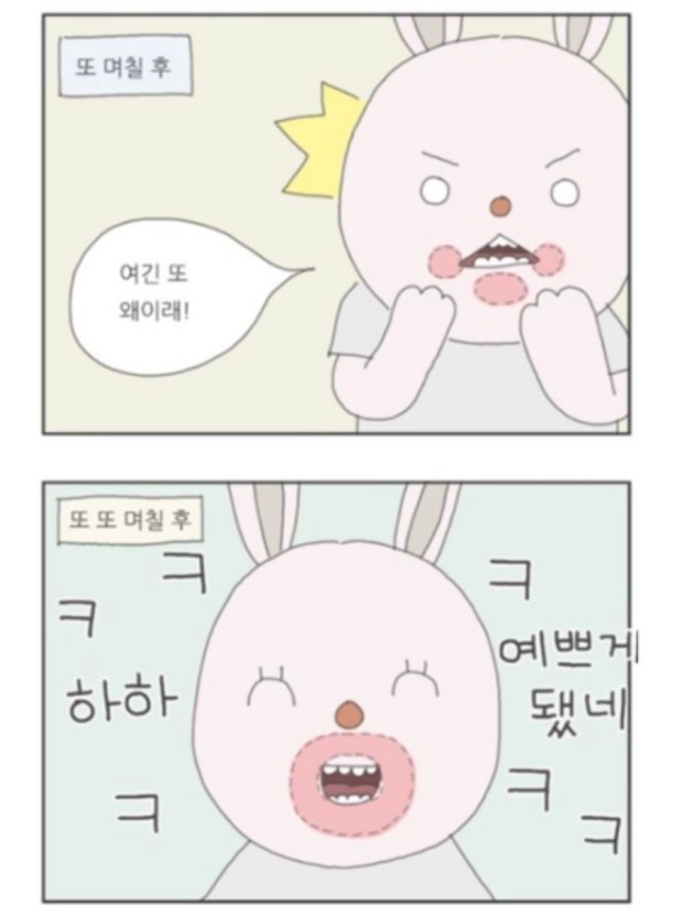 뷔에르 이미지