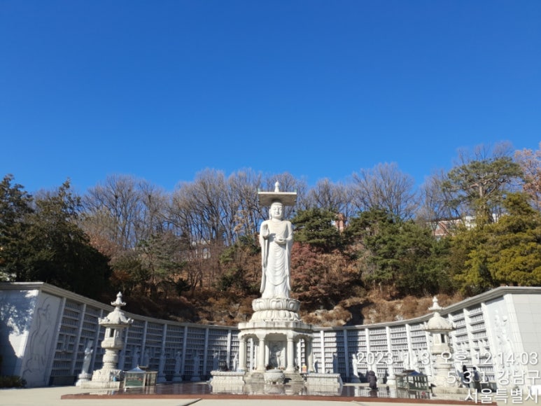 테드다이브 이미지