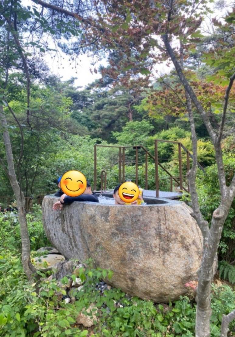 리헤브 이미지