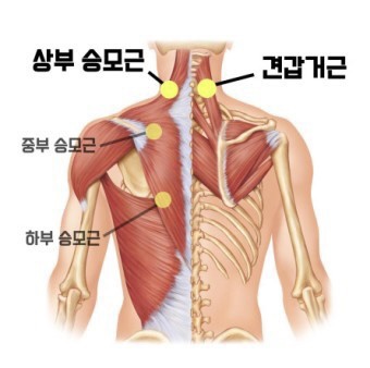 크로스핏트루 이미지