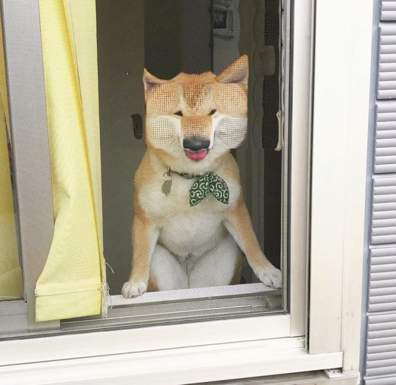 대창횟집 이미지