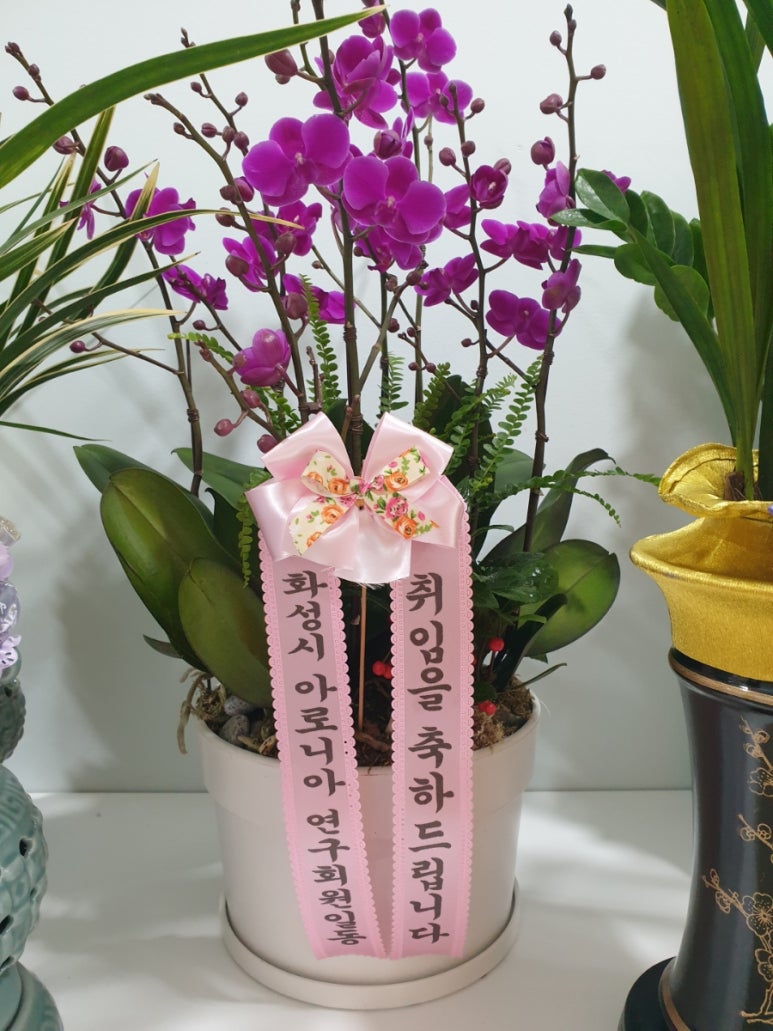 봉강난원 이미지