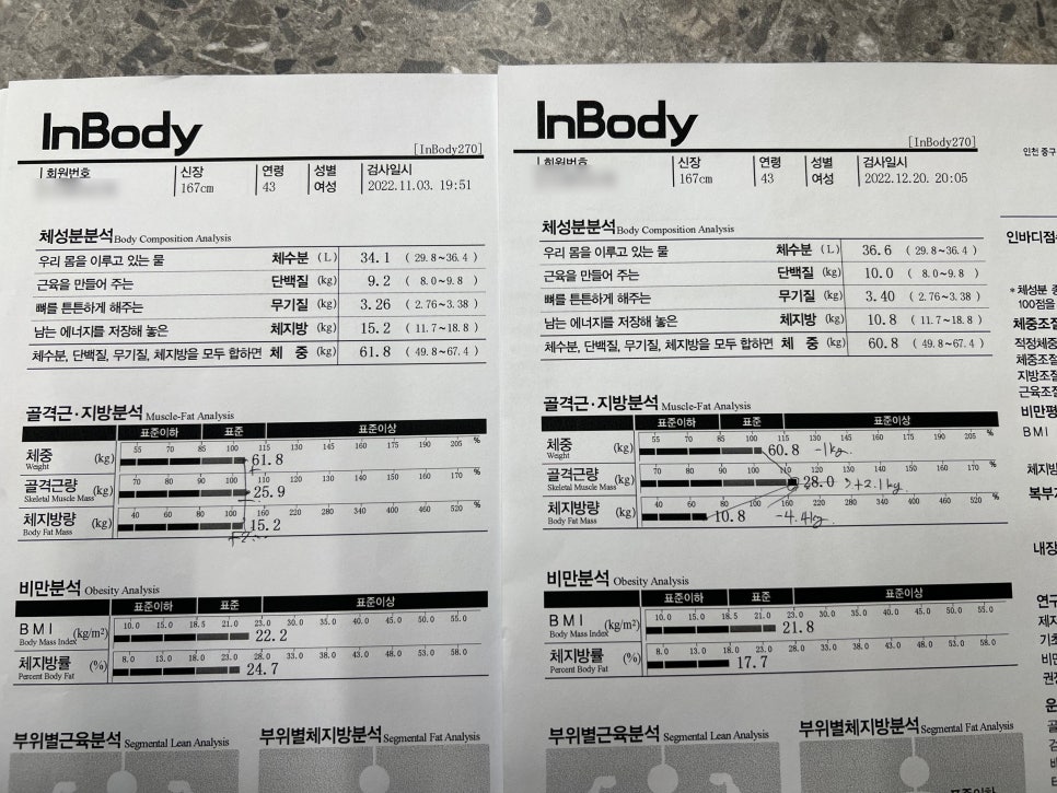 팀혁짐 이미지