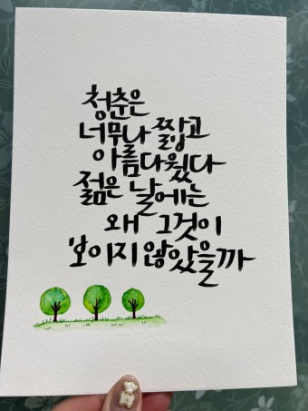 젊은청년 이미지