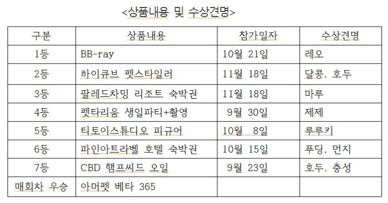 주식회사 투어온 이미지