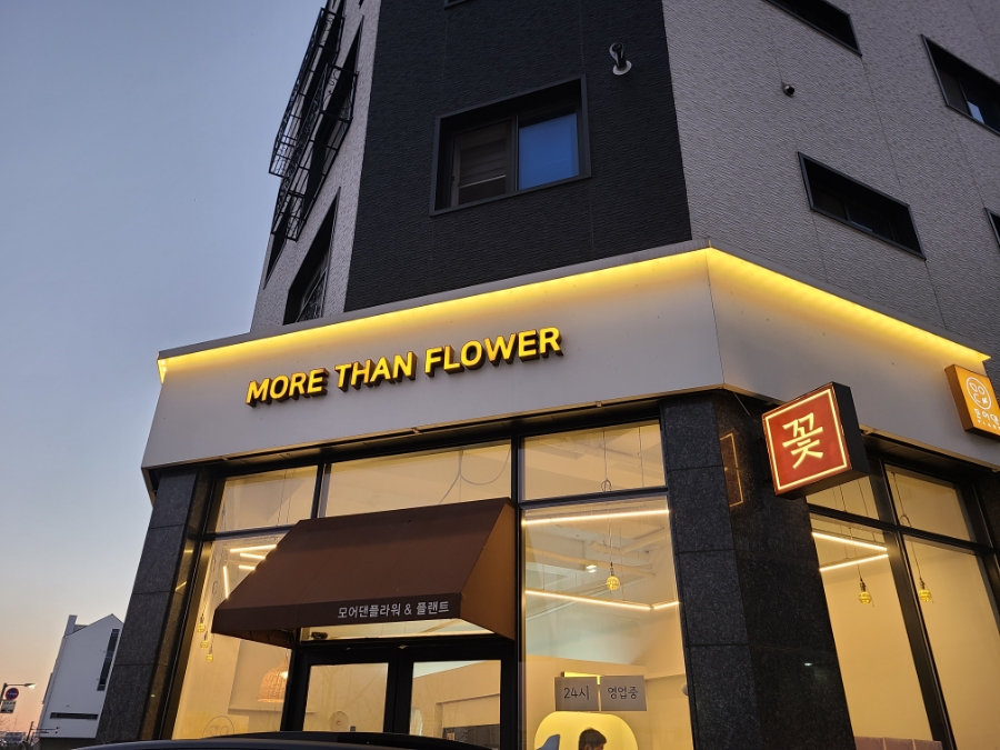 댄센스 이미지