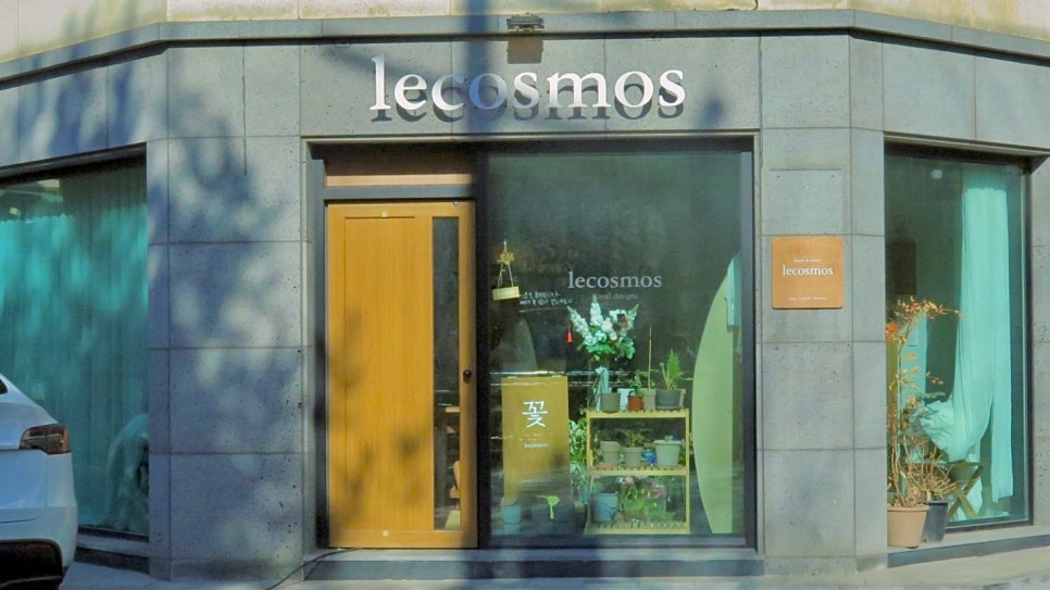 르코스모스 이미지