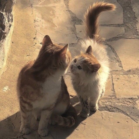 흠 이미지