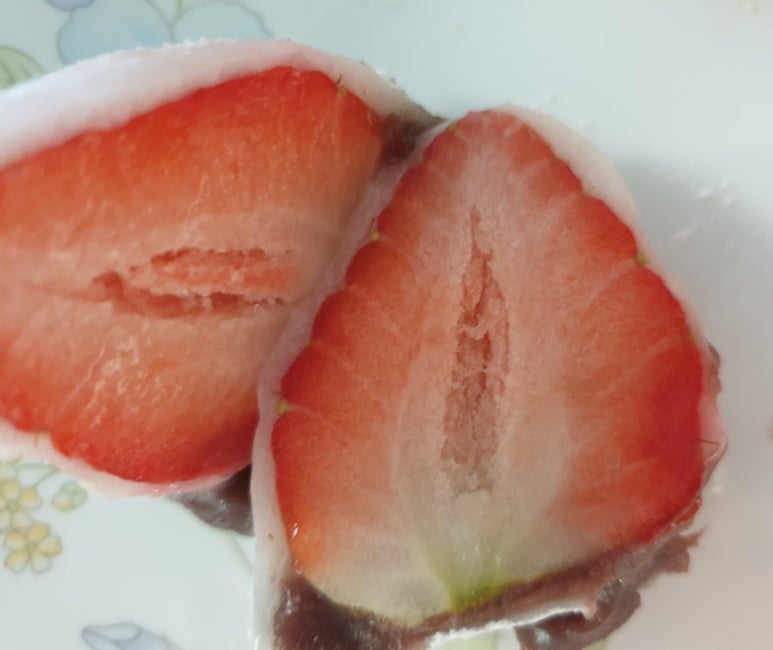 모찌의숲 이미지