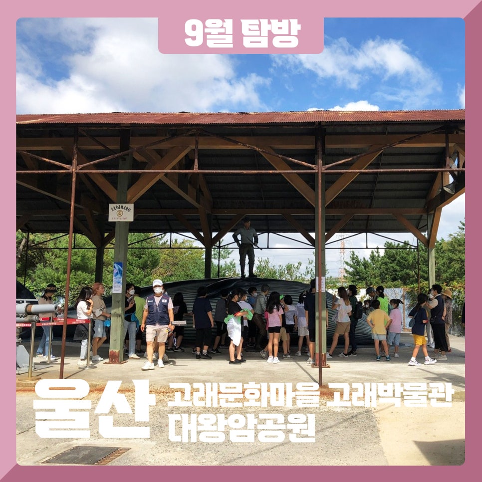 (주)초록배낭 이미지