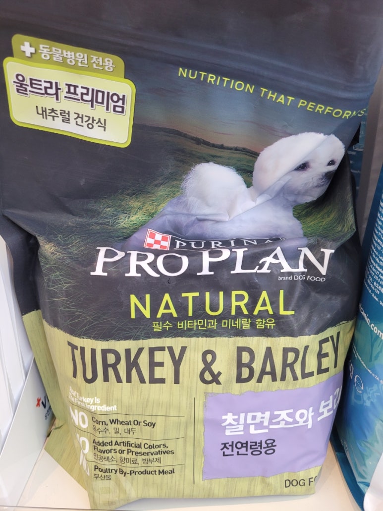 미르플랜 이미지
