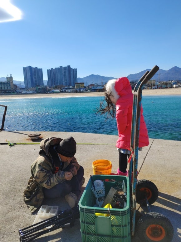 양양전복 이미지