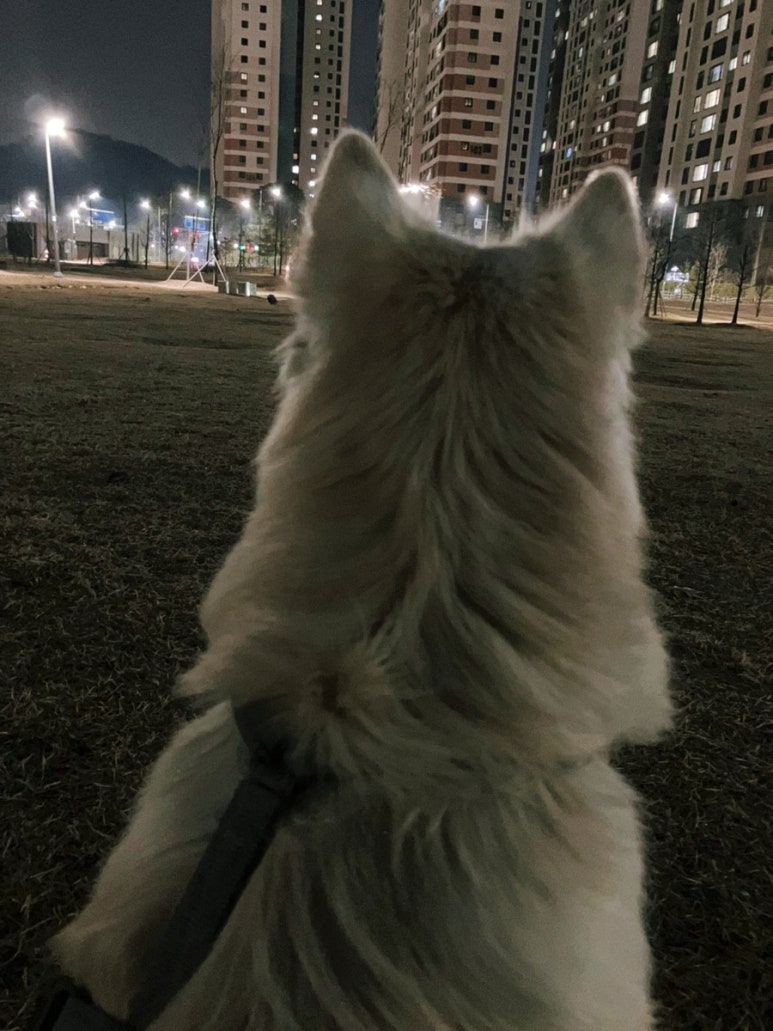 믿음식당 이미지