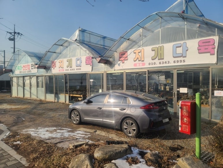 무지개다육이 이미지