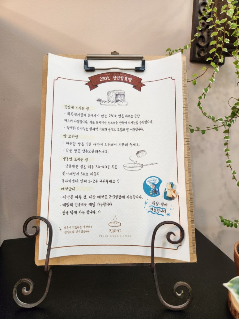 230도씨 이미지