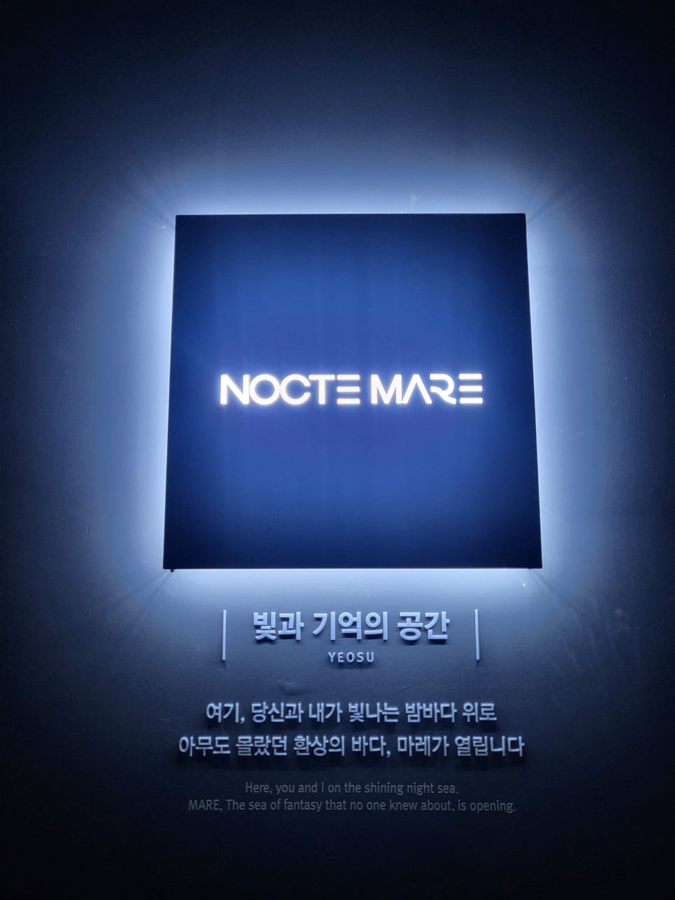 녹테마레 이미지