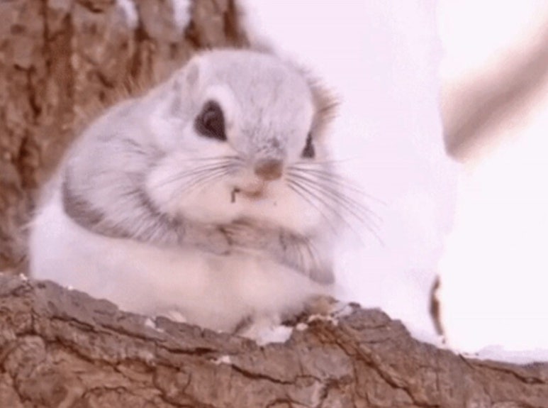 요리왕 본점 이미지