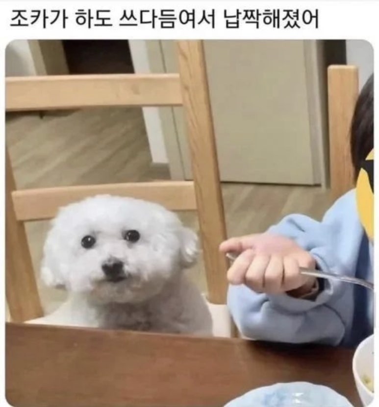 황금정 이미지