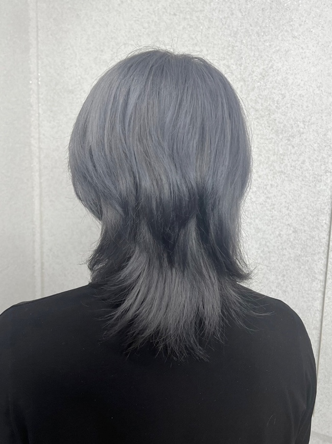 라미스헤어계대 이미지