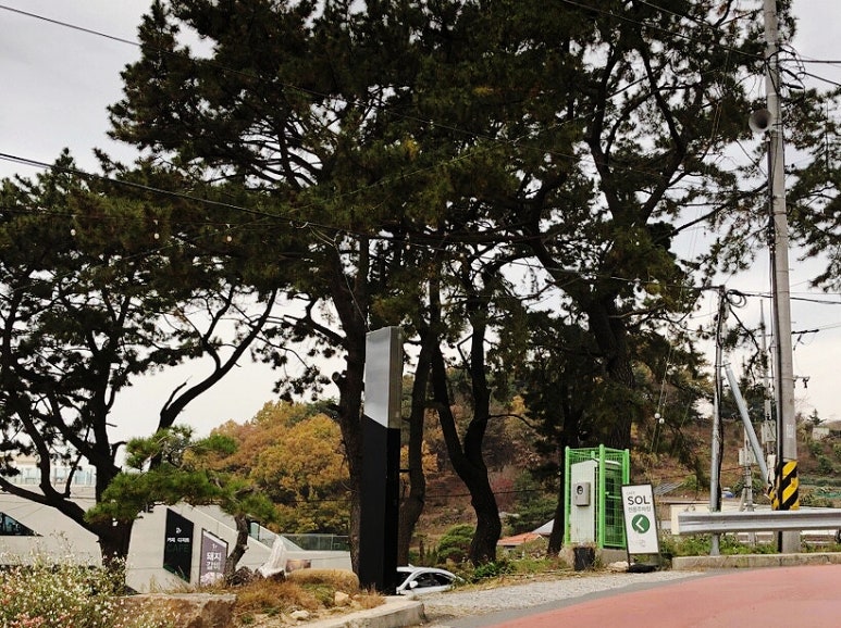 솔카페(Sol Cafe) 이미지