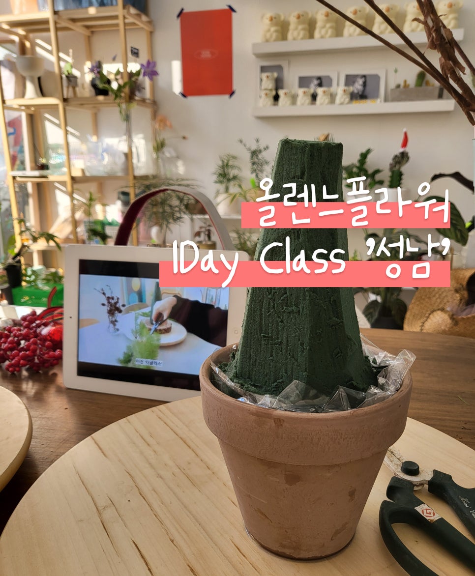 올렌느플라워 이미지