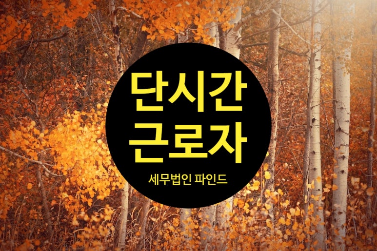 세무법인파인드 이미지