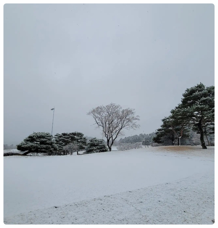 신창기업(주)발리오스컨트리클럽 이미지