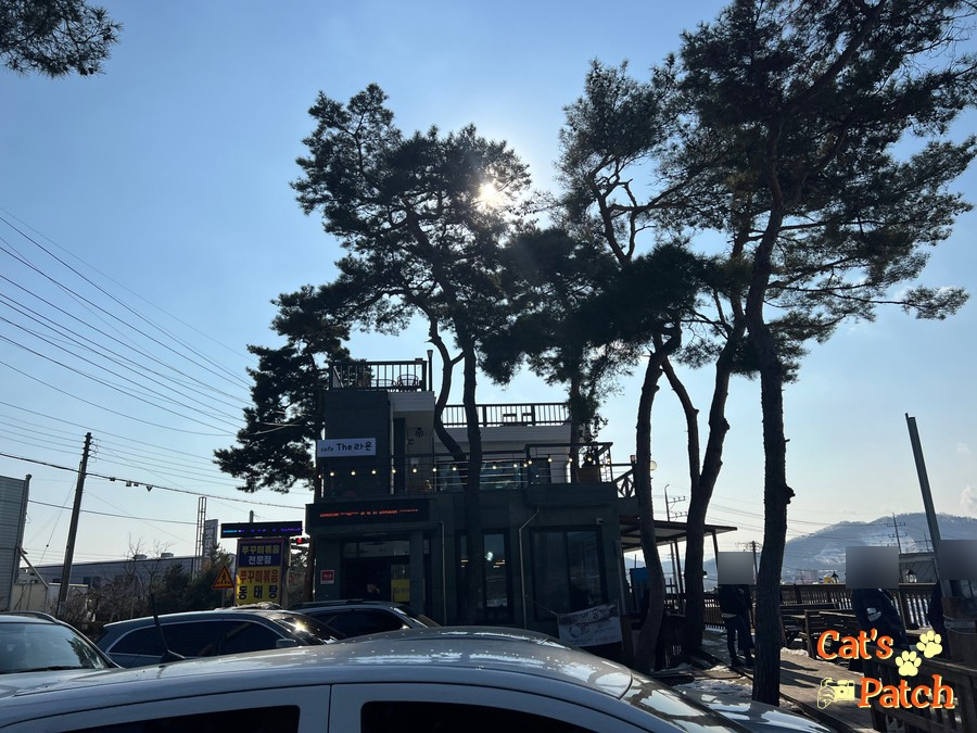 월랑쭈꾸미아산 이미지