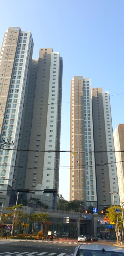 네오플렉스 이미지